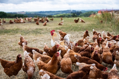 Bannsteinhof Mörsbach