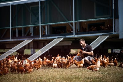 Bannsteinhof Mörsbach