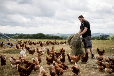 Bannsteinhof Mörsbach