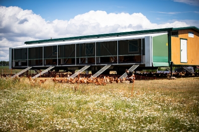 Bannsteinhof Mörsbach